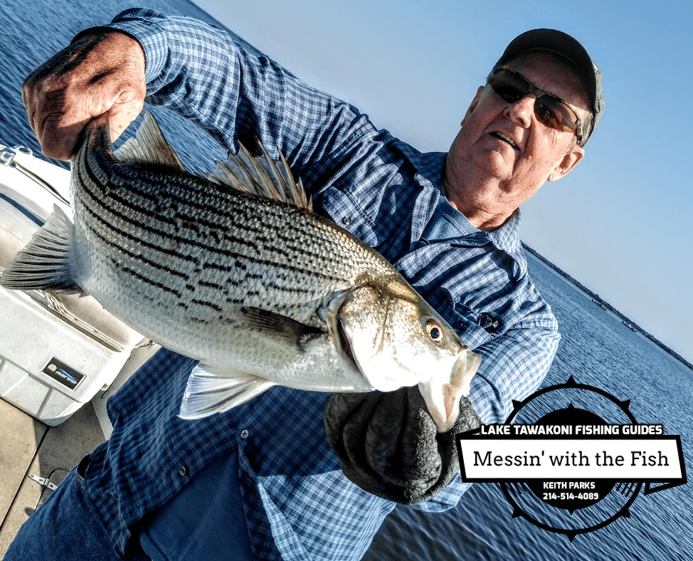 Fishing pictures caught with Guide Keith Parks lake Tawakoni Texas Messin' with the Fish